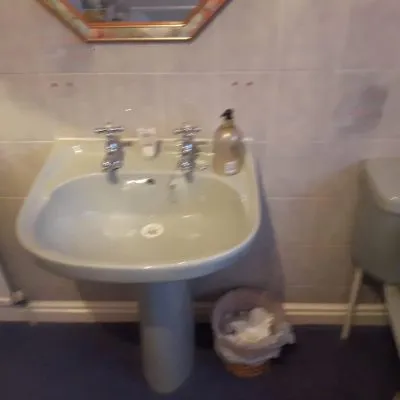 365 plumbing