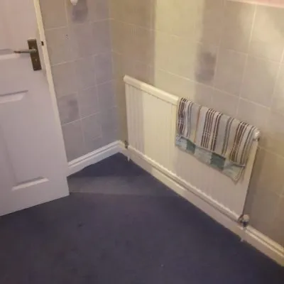 365 plumbing